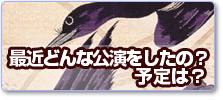 最近どんな公演をしたの？　予定は？
